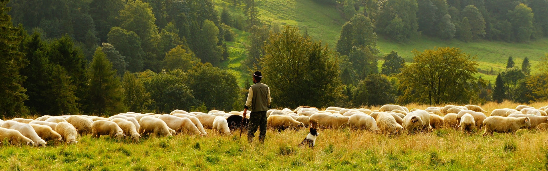 Senioren soos Senioren soos